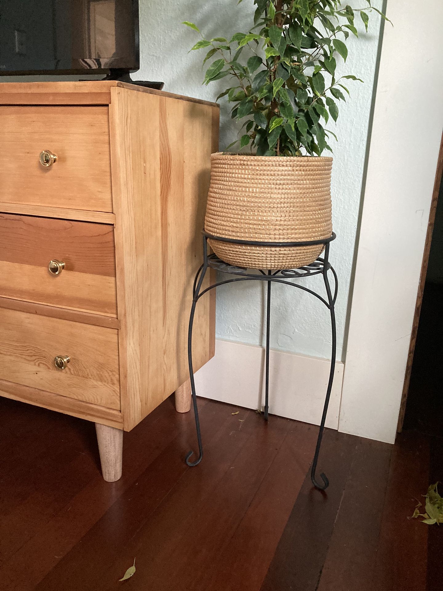 Black Iron Plant Stand