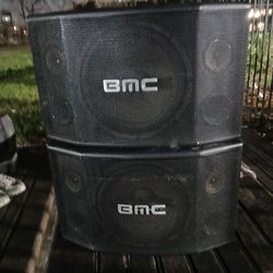 BWC KARAOKE SPECKERS