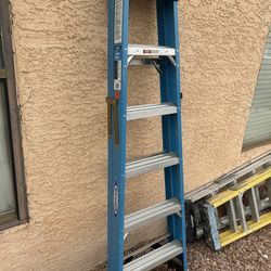 Fiberglass 6 Foot Ladder