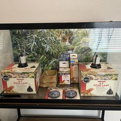 Terrarium Starter Kit
