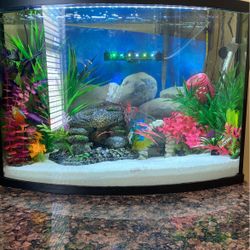 AQUARIUM & HOME DECOR 