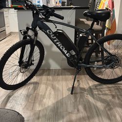 Electric Bicycle