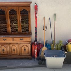 Atomic Skis