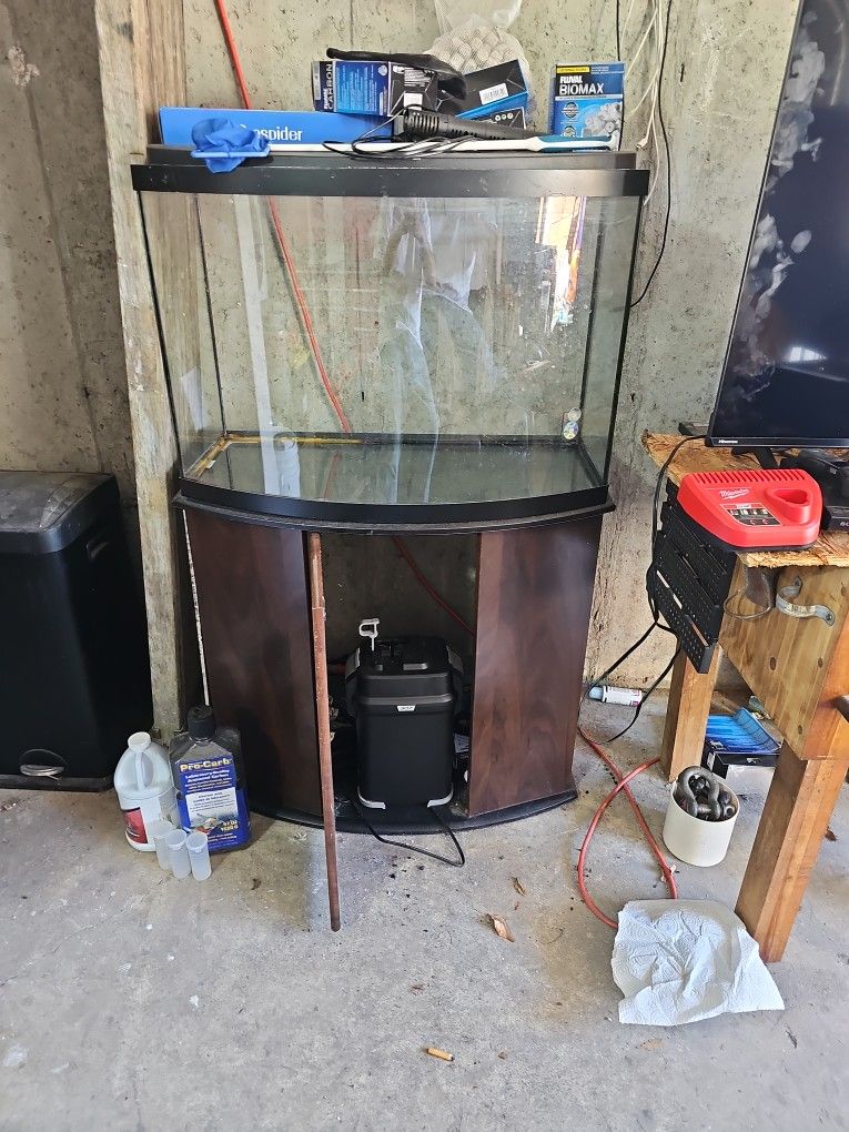 Fish Tank 