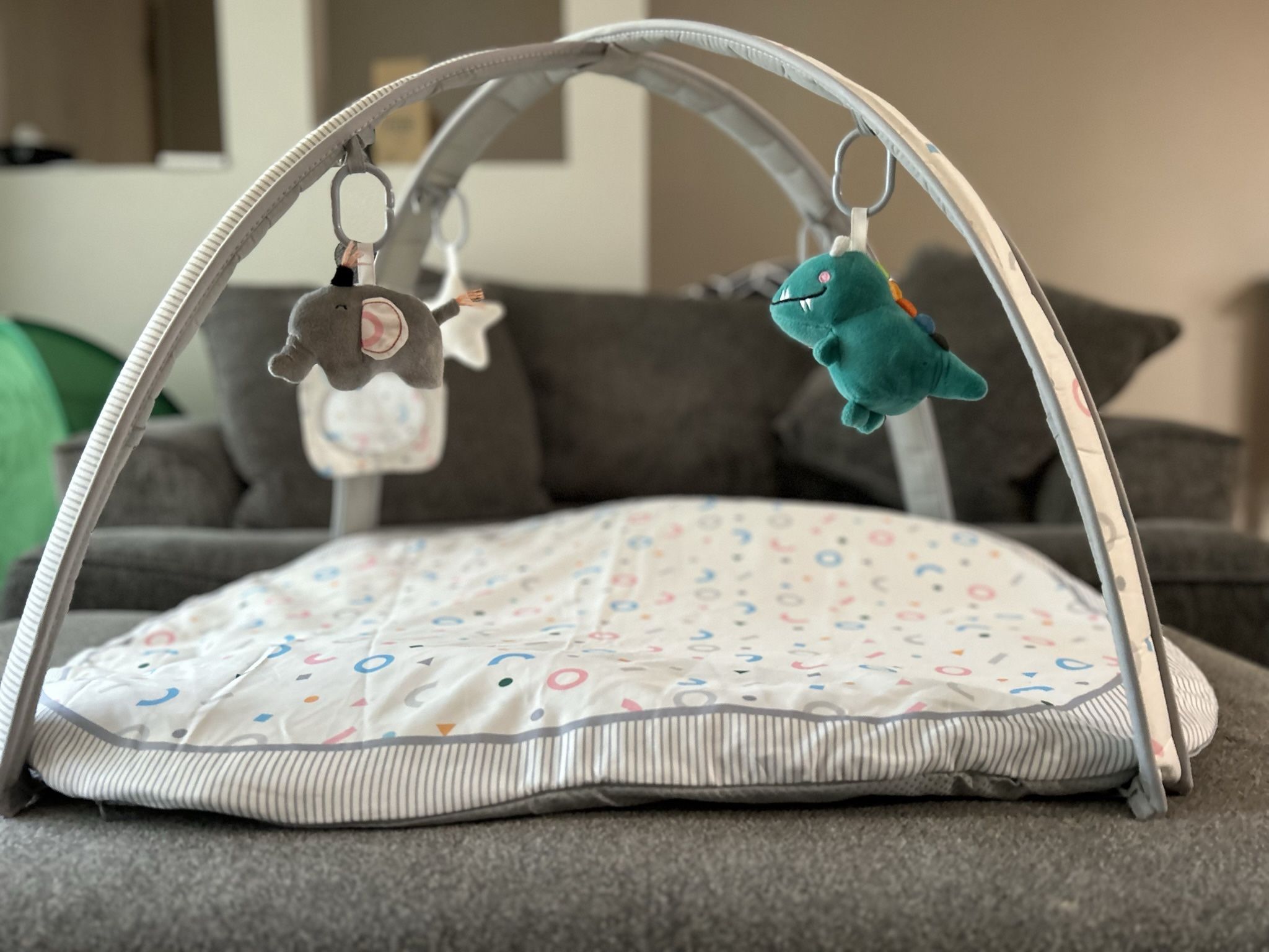 Baby Play Gym Mat