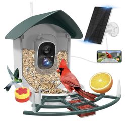 Bird Feeder with Camera Outdoor 