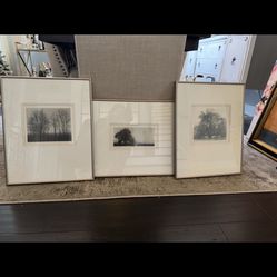 Vintage art tree prints 3 frames 