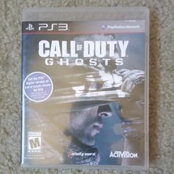 Call Of Duty Ghosts (PS3)