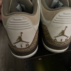 Jordan Mocha 3s Size 13