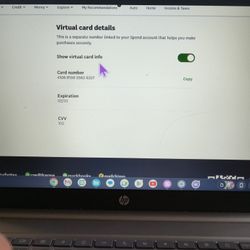 15.6 Largest Screen Chromebook 