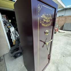 Homeland Security GUN SAFE