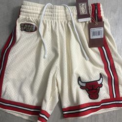 Mitchell And Ness Chicago Bulls 1996 NBA finals Shorts 
