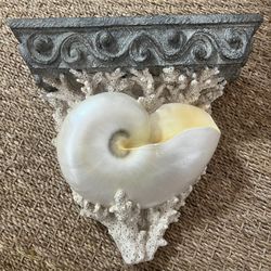 Seashell Wall Shelf