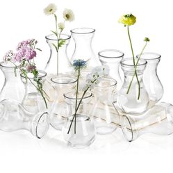 ZOOFOX Set of 12 Glass Bud Vases for Centerpieces, Small Clear Vase for Flower, Glass Bud Vases in Bulk, Cute Tiny Flower Bulb Plant Containers for Ho