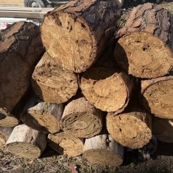 Firewood Dried Pine Tree Camp Fire 🪵 Wood Pit