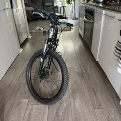 Marin mountain bike