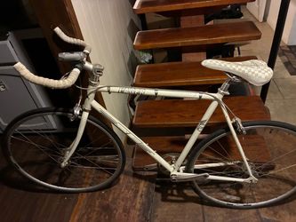 SE Lager Single speed fixie bike