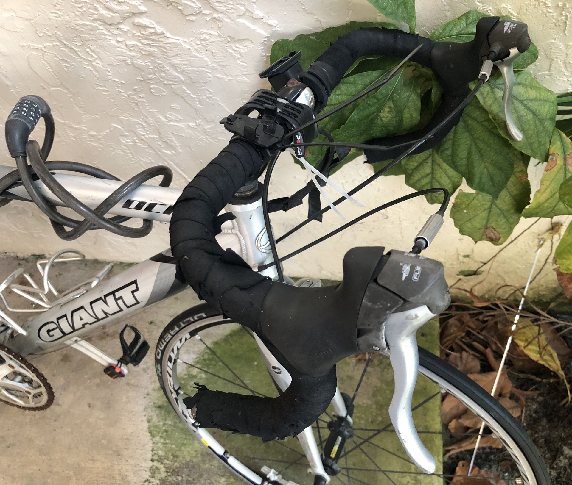 giant ocr 3 road bike