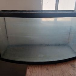 50 Gallon Bow Front Aquarium
