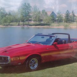 decoration cartón card  long 20 x16