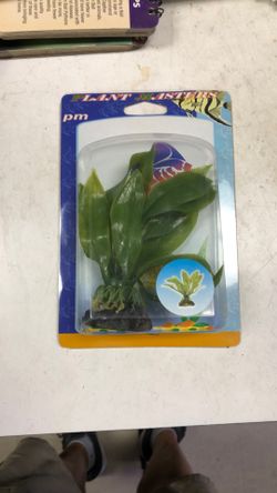 Small Plastic Plant 