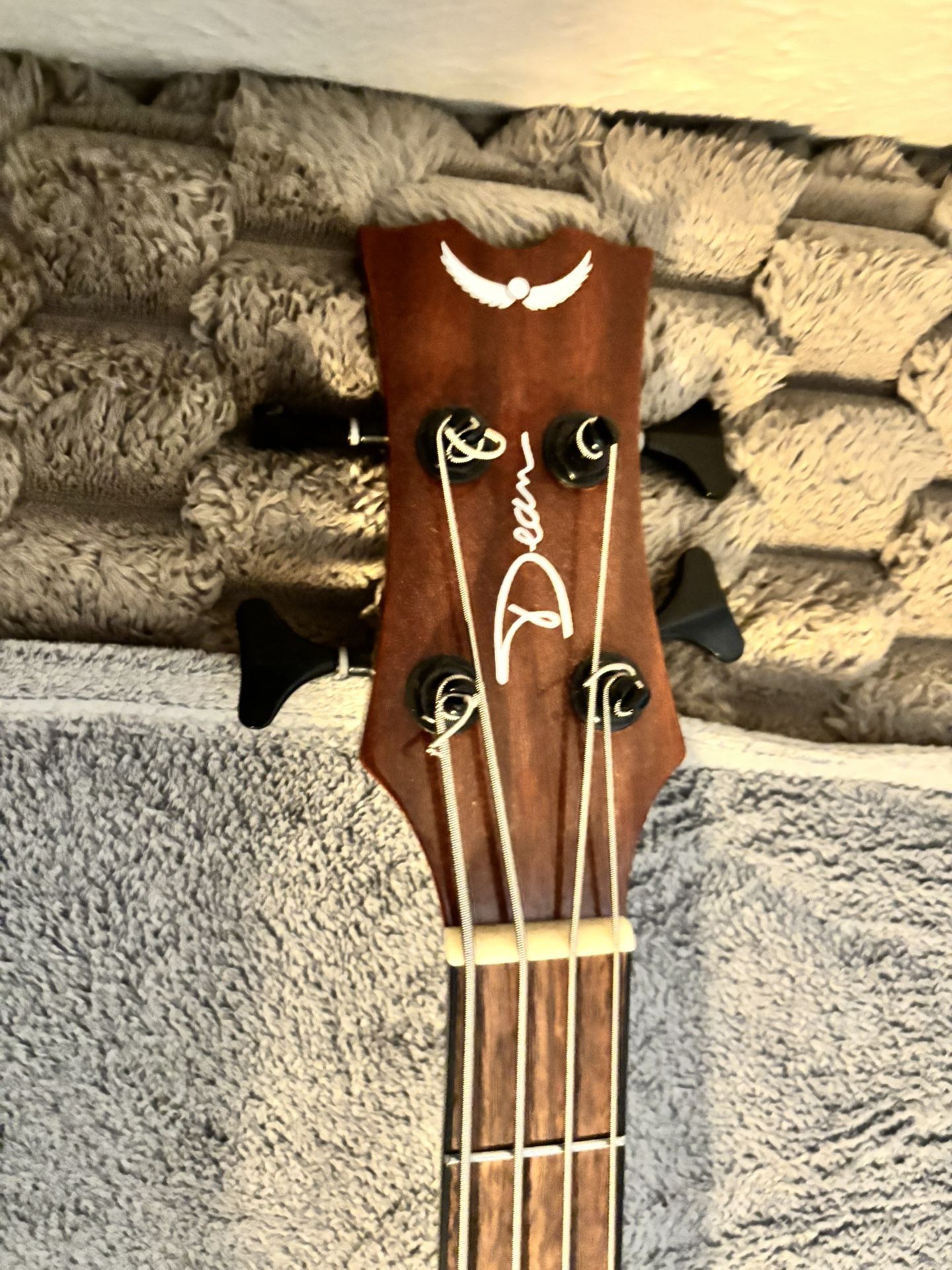 Bass guitar
