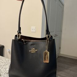 Coach Polished Pebble Leather Willow Bucket Bag
