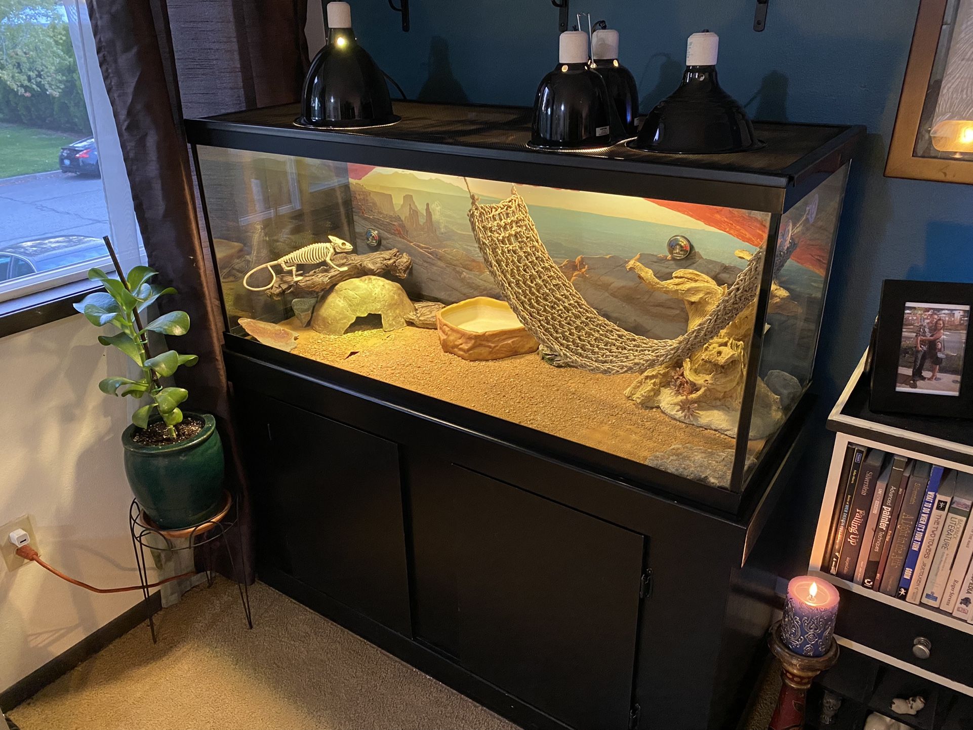 Lizard Terrarium and Stand - Complete Setup