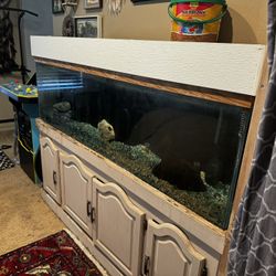 125 Gallon Fish Tank