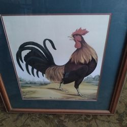 ROOSTER
