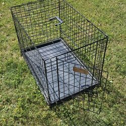Small Dog Crate
