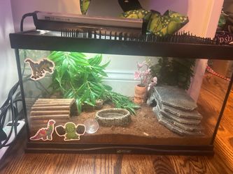 Terrarium/African Fat Tail