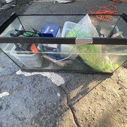 20 Gallon Fish Tank