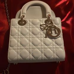 Brand New Dior mini Bag