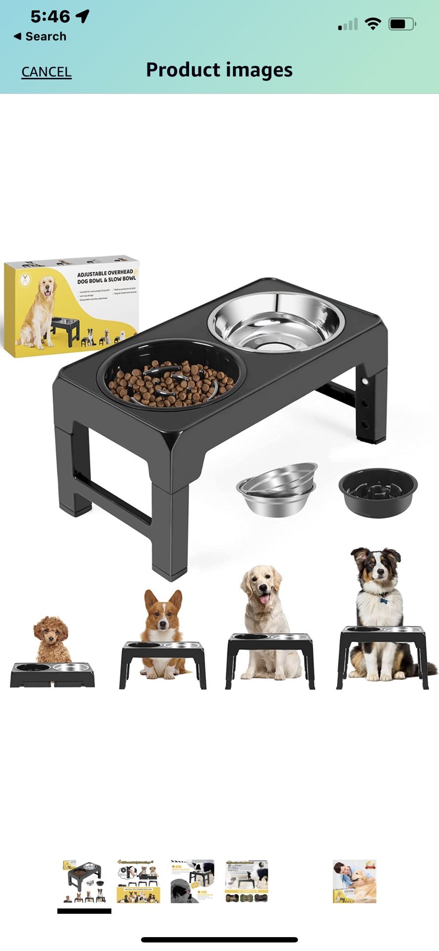 Dog Stand With Bowls