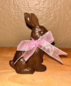 New Chocolate Color Look Covered Bunny