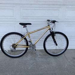 SPECIALIZED YOUTH MOUNTAIN BIKE 