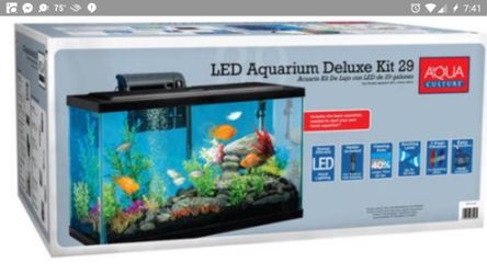 29 gallon starter aquarium