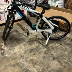 Brand New E-bike