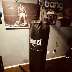 Everlast Punching Bag with Stand 