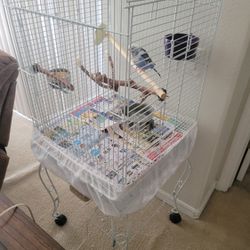 Medium Size Bird 🐦 Cage