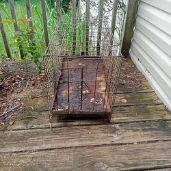 Critter Cage