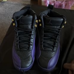 jordan 12 purple