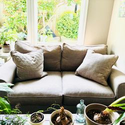 Free Sofa