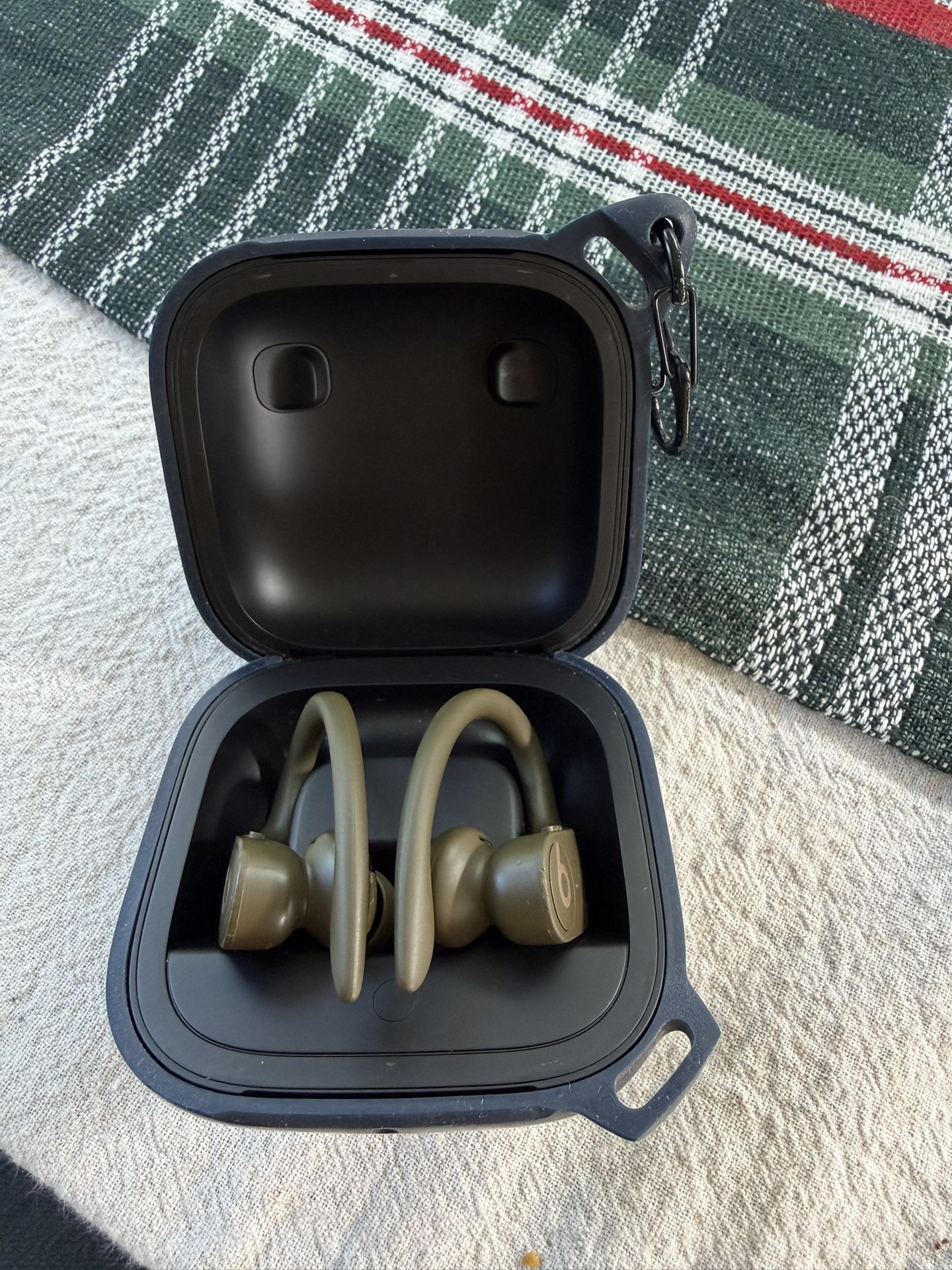 Beats Powerbeats Pro 2 Wireless Earbuds
