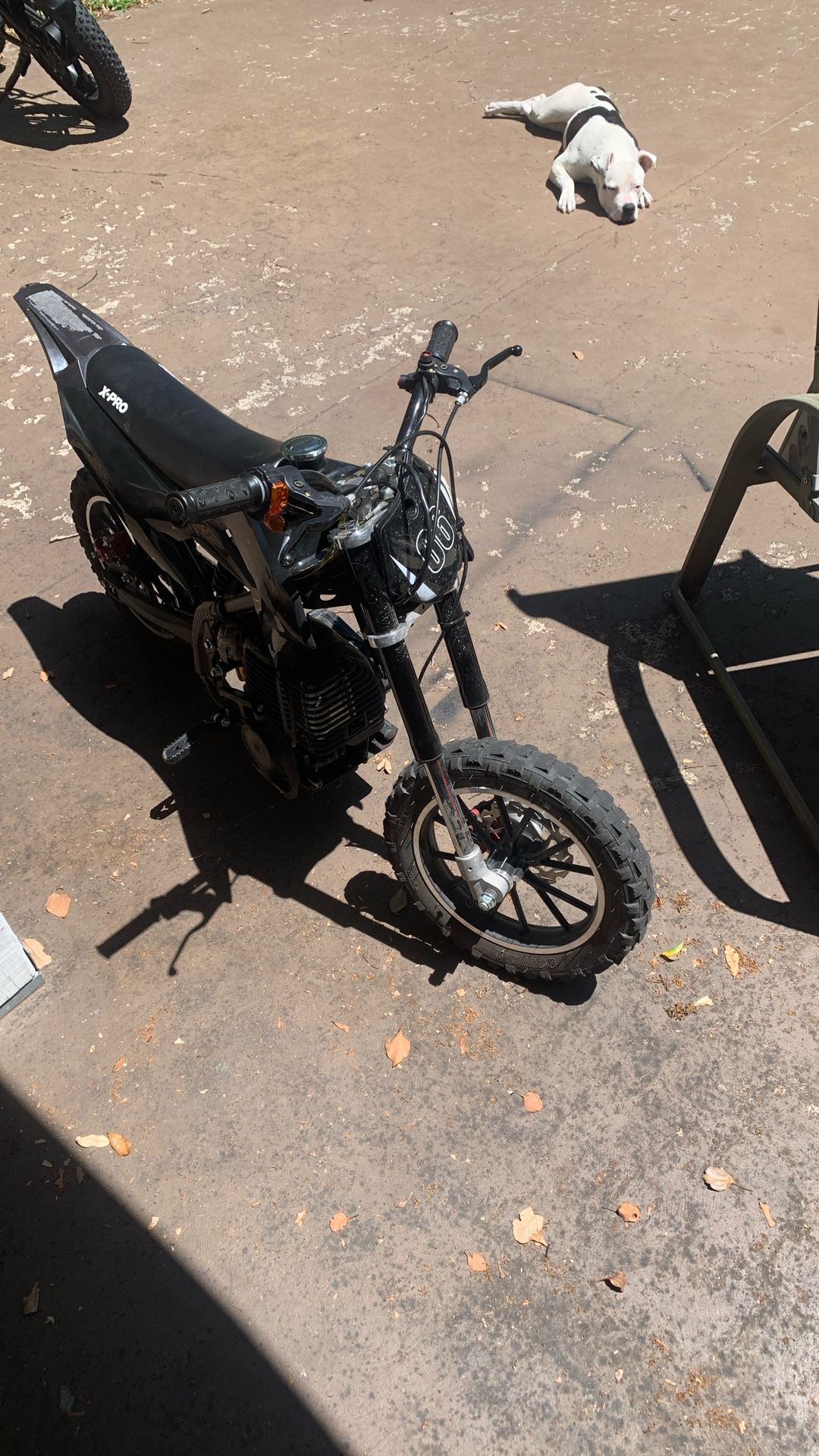 X-PRO Hawk Mini Dirt Bike, 40CC Gas Power 4-Stroke Dirt Bike, Pull Start, 10" Wheels! (Black, New Decals), DB-Z010