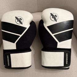 Hayabusa Boxing Gloves