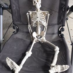 Pro Skeleton Model 3 Feet Halloween 