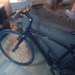 GIANT Women’s Mountain Bicycle