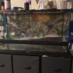 40 Gallon Zoo Med Enclosure